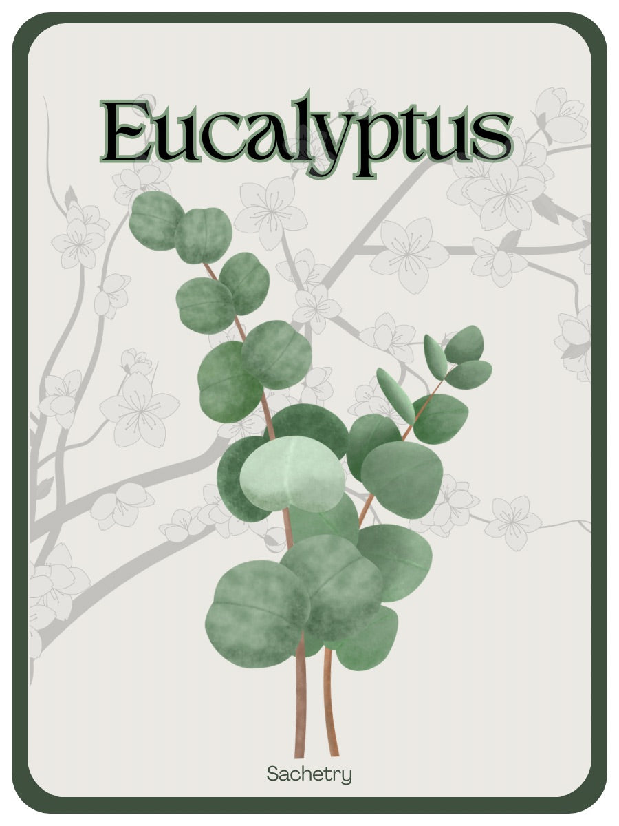 Eucalyptus Scent Pouch
